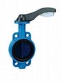 Rubber Lining Butterfly Valve 1