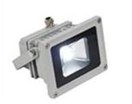 10W Floodlight