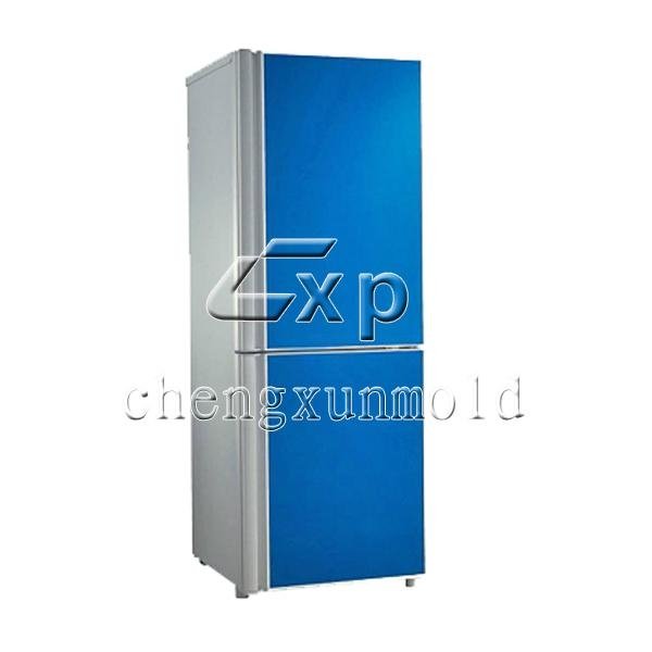 refrigerator shell mould/compact refrigerator mould/Refrigerator Plastic Injecti