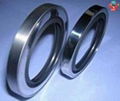 Oil Seal 1