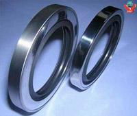 Oil Seal