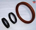 Oil Seal 4