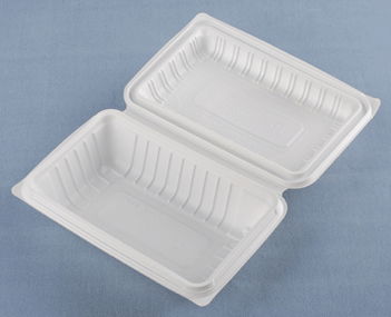 Disposable environmentally friendly lunch boxes