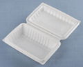 Disposable environmentally friendly lunch boxes