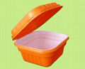 Disposable environmentally friendly lunch boxes 2