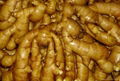 New Crop Fresh Ginger 3