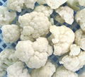 Frozen IQF Cauliflower 3