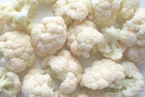 2012 New Crop Fresh Cauliflower 3