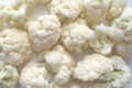 2012 New Crop Fresh Cauliflower 3