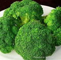 Frozen broccoli,IQF broccoli,Frozen vegetable 2