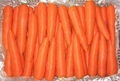 High Quality Fresh Carrot