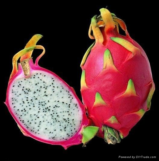 Fresh Pitaya Dragon Fruit 3