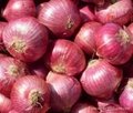 Chinese Onion 2