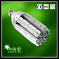 40W E40/27 led street bulb/ garden light 1