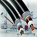 XLPE insulated and  sheathed copper power cable  2