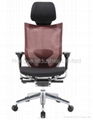 Executive Mesh Chair