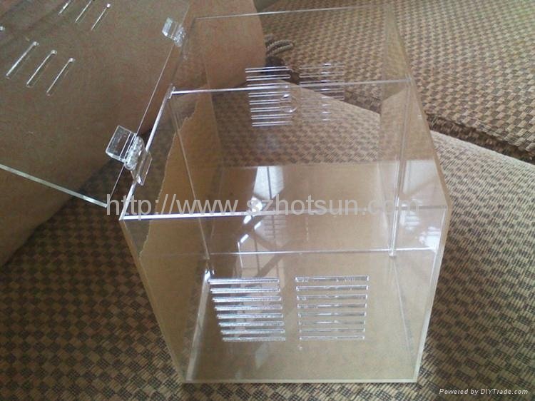 acrylic reptile container and plexiglass reptile cases 2