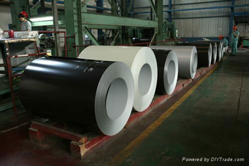 Prepainted Galvanized Steel Coil for Roofing Sheet  4