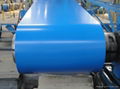 Color Coated Steel Coil with