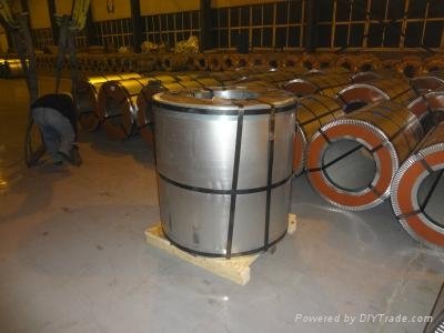 Color Coated Steel Coil with THICKNESS0.13-1.2mm FROM CJC STEEL 3