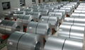 Hot Dipped Galvanized Steel Coils With Best Quality 1