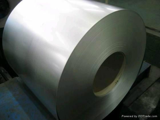 Hot Dipped Galvanized Steel Coils With Best Quality 2