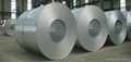 HDG Galvanized Steel Coils With Competitive Price