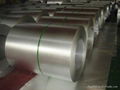 HDG Galvanized Steel Coils With Competitive Price 5