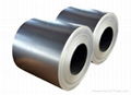 Hot-Dip Zinc Coated Steel Sheet in Coil From CJC STEEL Professional Manufacturer 2