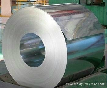 Hot-Dip Zinc Coated Steel Sheet in Coil From CJC STEEL Professional Manufacturer 5