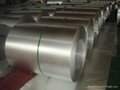 Prime GI Steel Coil From Professional Manufacturer 2