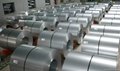 Prime GI Steel Coil From Professional Manufacturer 3
