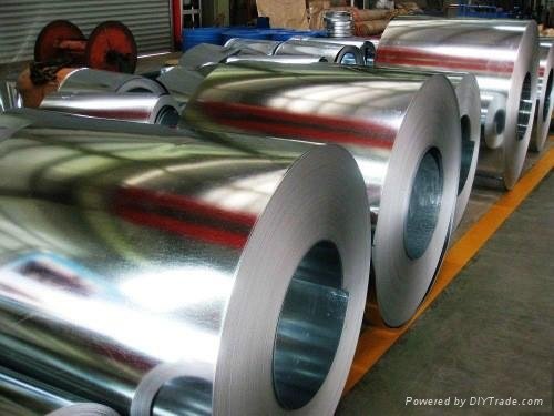 Prime GI Steel Coil From Professional Manufacturer 5