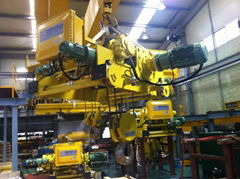 Explosion proof type Crane