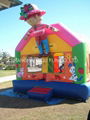 popular inflatable bouncer for family