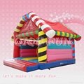 good quality bouncer inflatable jumping 3