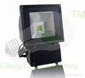 LED flood light