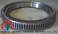 brand replacement -  Three Row slewing bearing 2