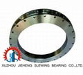 brand replacement -  Light Type slewing bearing 1