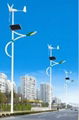 solar street light 1