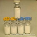 Palmitoyl Pentapeptide-3(PAL-KTTKS)