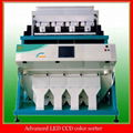 CCD Rice color sorter machine 1