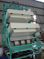 CCD Green Tea Color Sorter 1