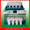 S.precision CCD dehytrated vegetable color soring machine