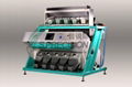 CCD Garlic Piece Color Sorter Machine 5