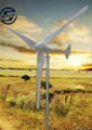 300w horizontal wind mill generator