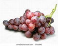 Red grape juice concentrate