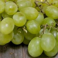 White grape juice concentrate