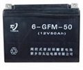 6GFM-50 阀控式铅酸蓄电
