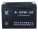 6GFM-50 阀控式铅酸蓄电池